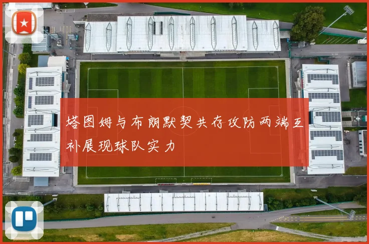 塔图姆与布朗默契共存攻防两端互补展现球队实力