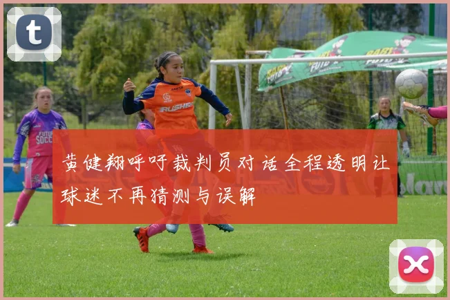 黄健翔呼吁裁判员对话全程透明让球迷不再猜测与误解